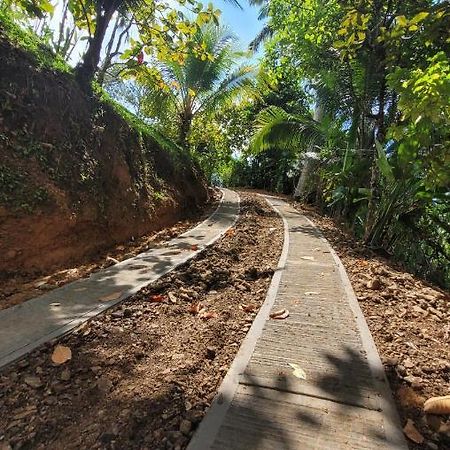 Private Jungle “Loft Del Rio” River Access Увита Екстериор снимка