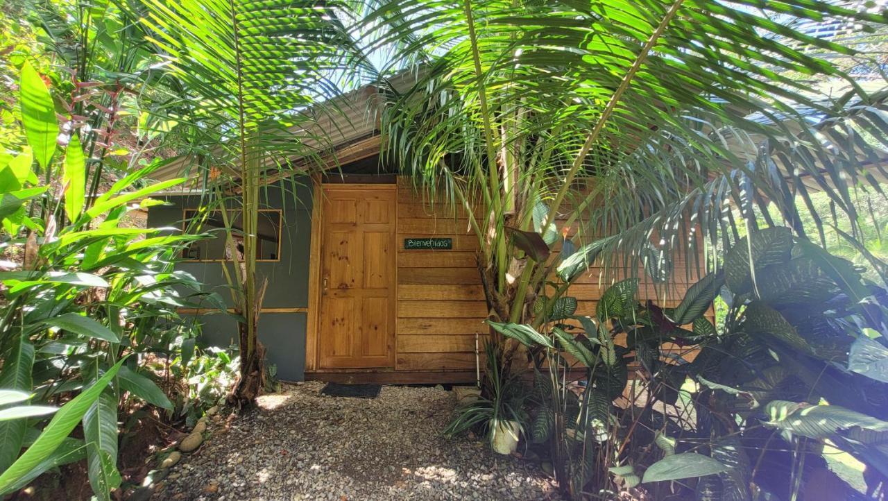 Private Jungle “Loft Del Rio” River Access Увита Екстериор снимка